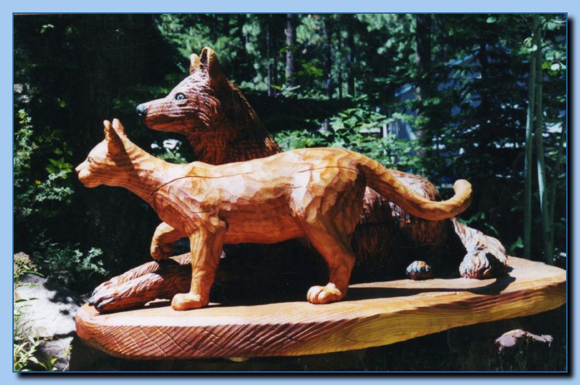 2-14 cats, domestic-archive-0006